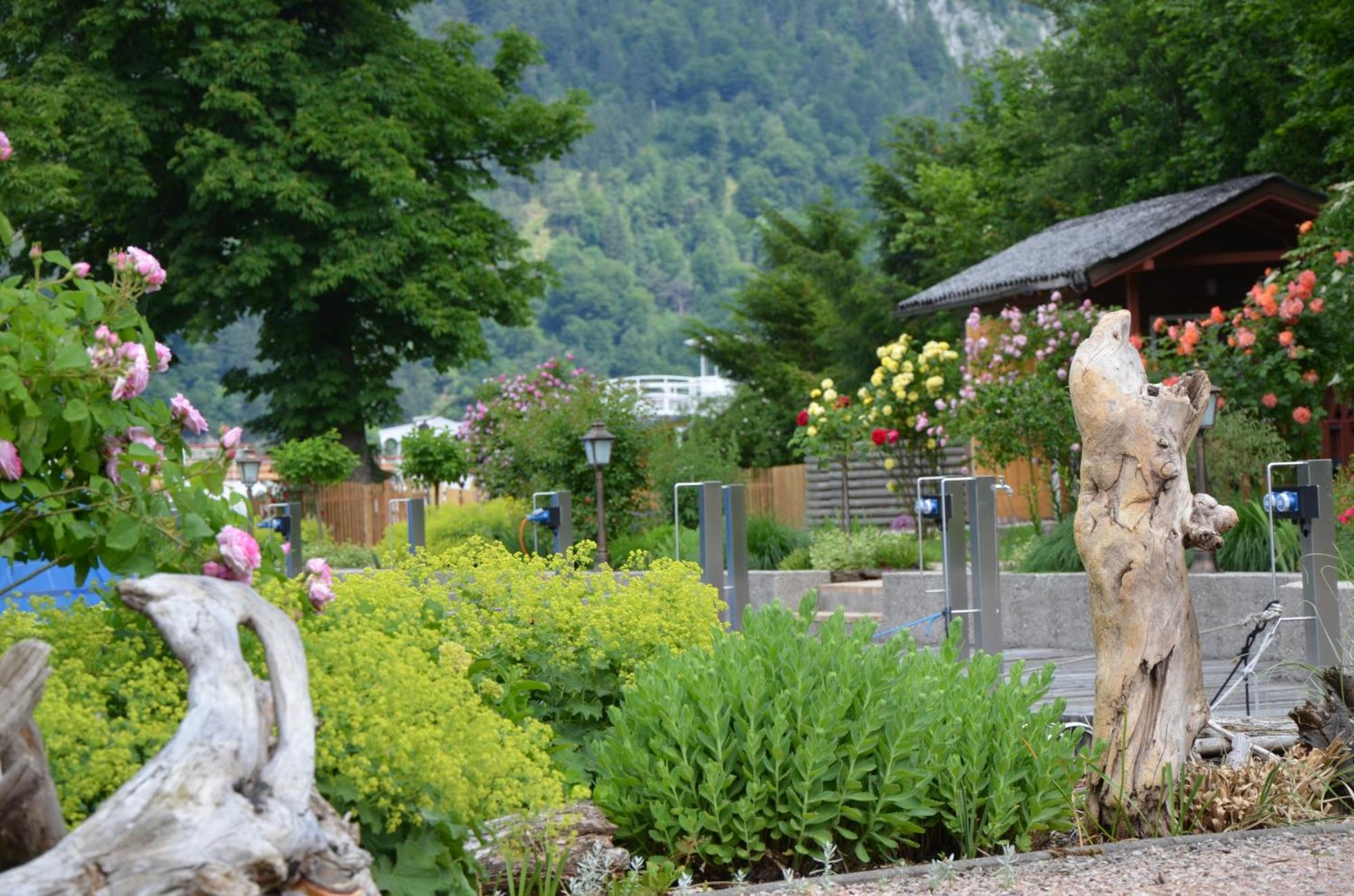 Wohnen Am See Villa Schroetter Direkt Am Traunsee Rindbach Екстер'єр фото
